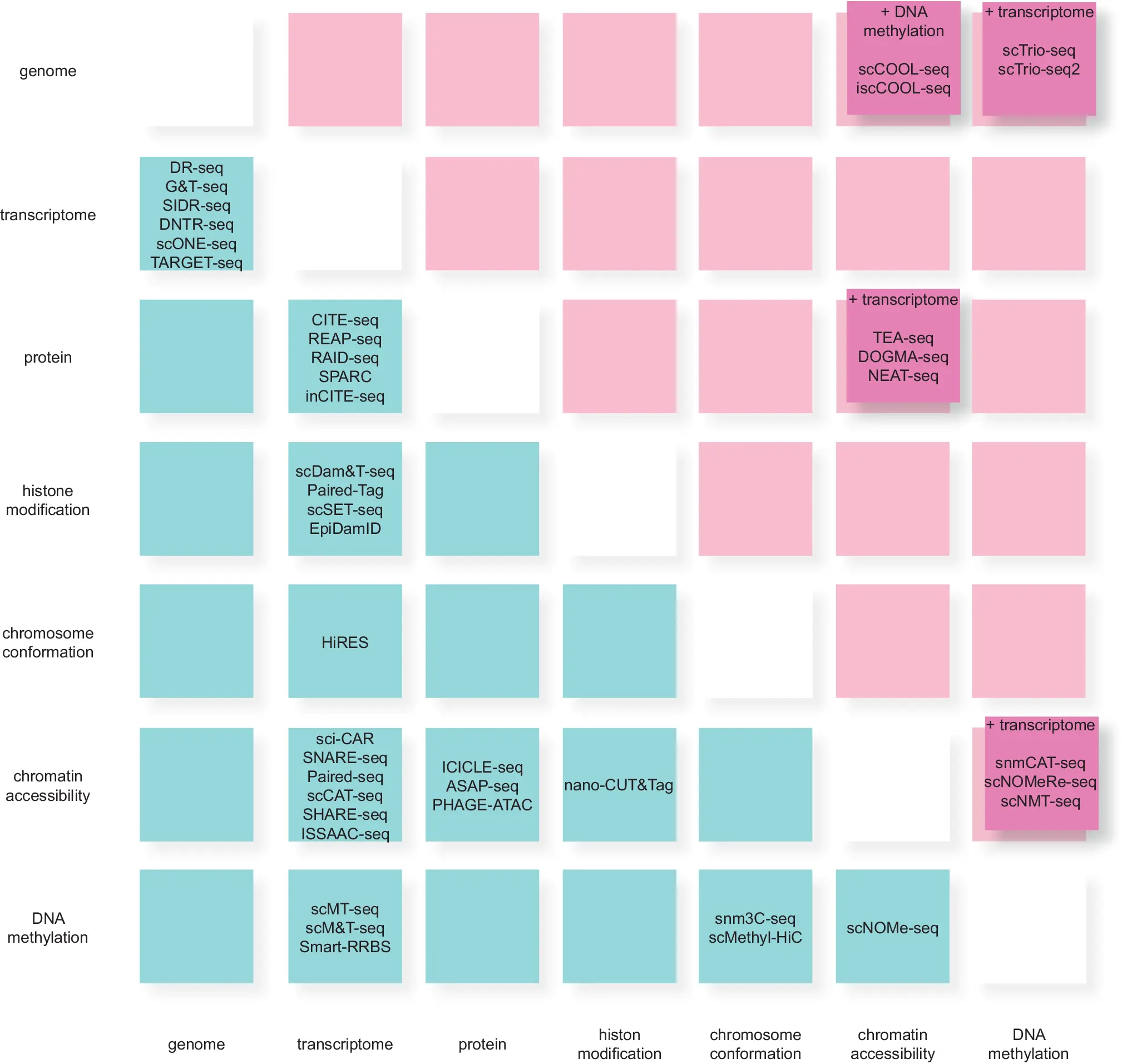 Numerous single-cell multiomics sequences have been developed and can be classified into seven types. The blue box represents dual omics technology, and the magenta box represents technology that handles three or more omics simultaneously.