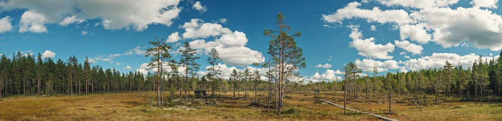 panorama
